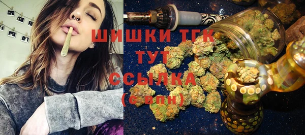 гидра Киренск