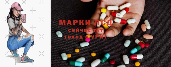гидра Киренск